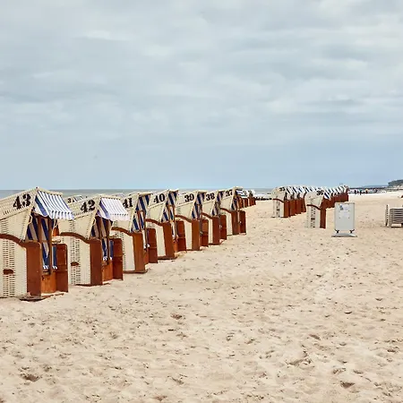 O! Shellter Premium By Oskar