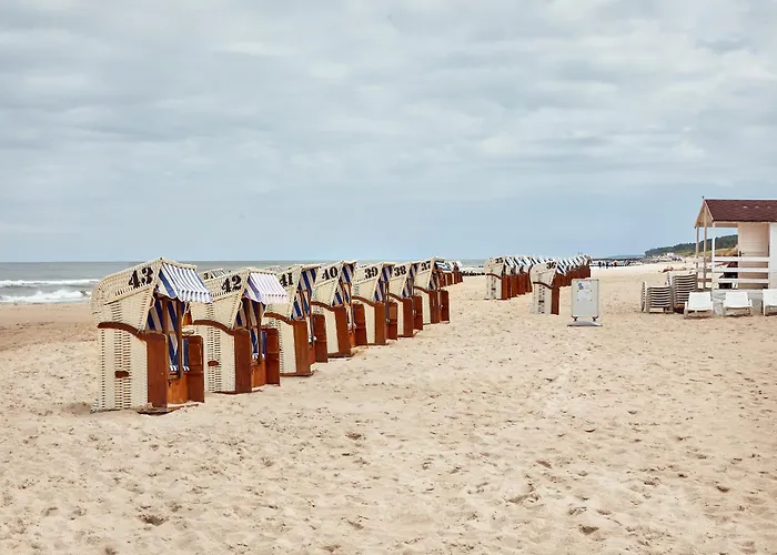 O! Shellter Premium By Oskar